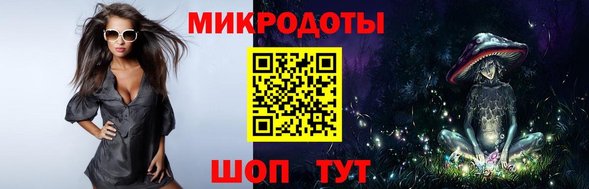 Псилоцибиновые грибы Psilocybe Крымск